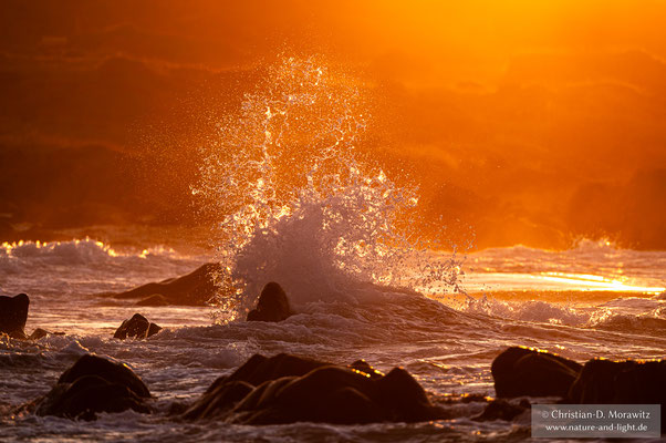 Die Wellen brechen sich im Abendlicht
