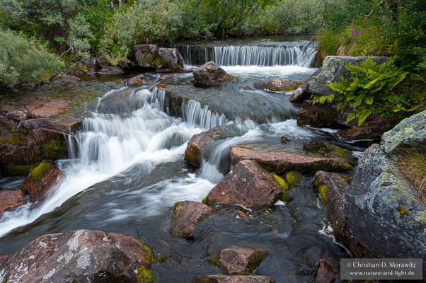 Bachlauf oberhalb des Njupeskär-Wasserfalls im Fulufjället Nationalpark