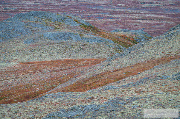 Zarte Farben tauchen die ganze Landschaft in eine herbstliche Stimmung