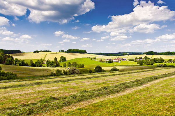 Blick ostwärts bei Ommerborn