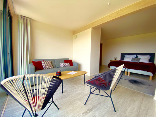 Villa Lascaux suite 5, coin salon canapé