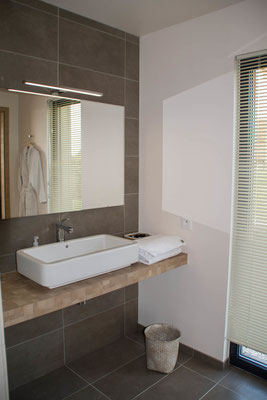 Villa Lascaux Suite 1, bathroom adapted for disabled