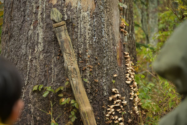 墓標とエゾタケ