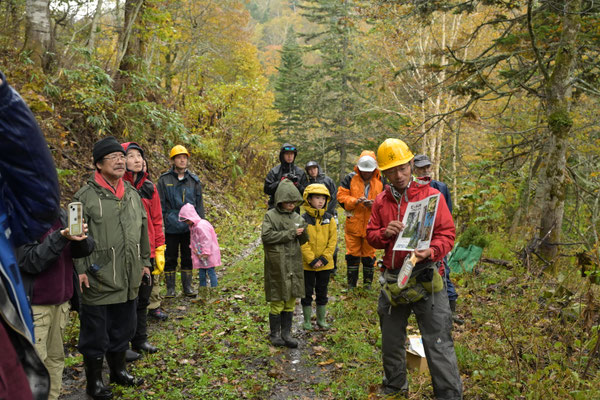 アカエゾマツの説明