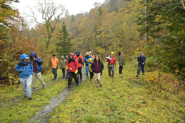 雨が降っています