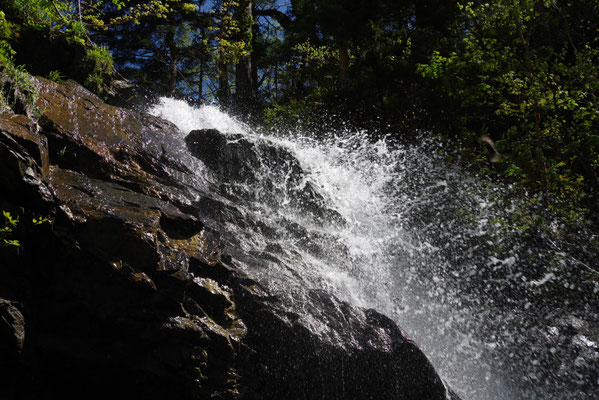splash!