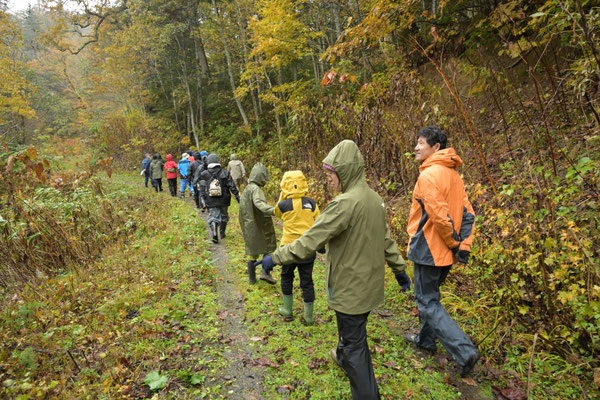 いざ、ビッキの木まで