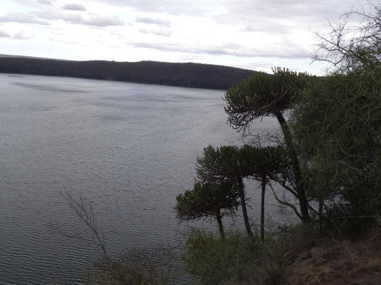 Der Kratersee ist sehr tief und hat klares Suesswasser.