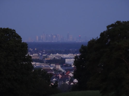 Blick vom Weinberg Langenselbold auf die Skyline Frankfurt.