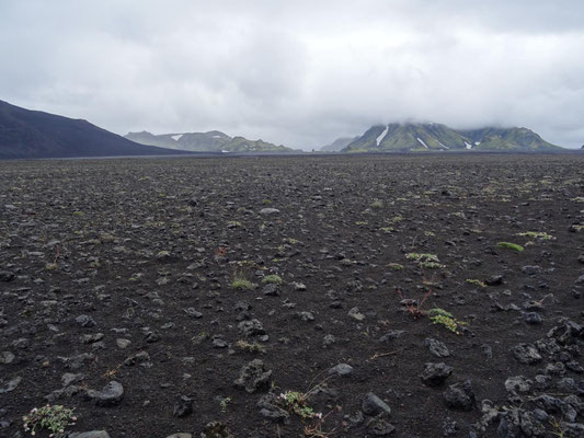 Unterwegs muss ein großes Feld mit ausgeworfener Lava mit wenig Vegetation durchquert werden.