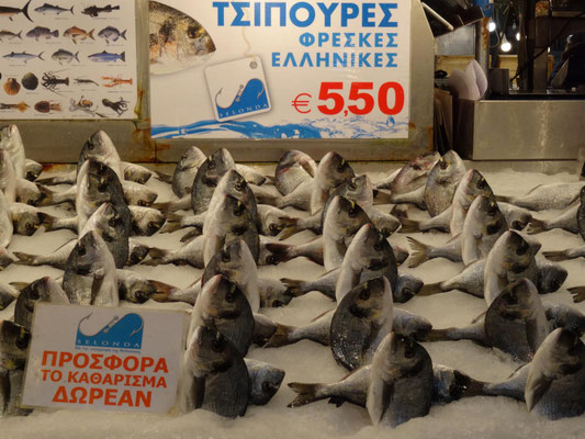 "Fischballett".