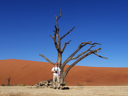 Die abgestorbenen Bäume des Deadvlei sind mehrere hundert Jahre alt und verwittern nicht, da das Klima dafür zu trocken ist.