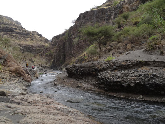 Ein kleiner Fluss fliesst durch eine Schlucht vom Plateau runter zum Natronsee.