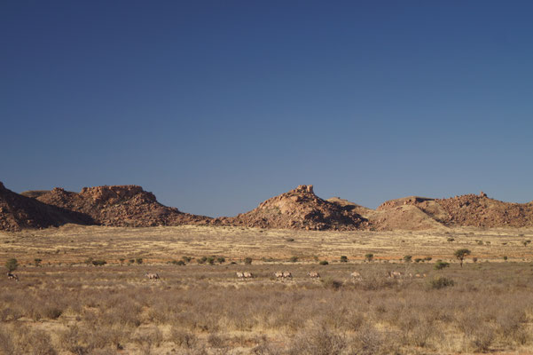 Auf der Fahrt in die Dünenlandschaft mit Sossusvlei und ...