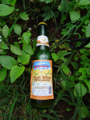 An das lokale Bananenbier traue ich mich nicht heran. Von diesem hoffentlich hygienischer hergestellten Produkt habe ich einen Schluck probiert: nichts fuer mich !