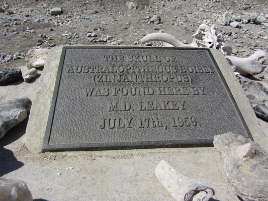 Der Fundort früher vormenschlicher Skelette in der Oleduvai / Oldupai-Schlucht. 