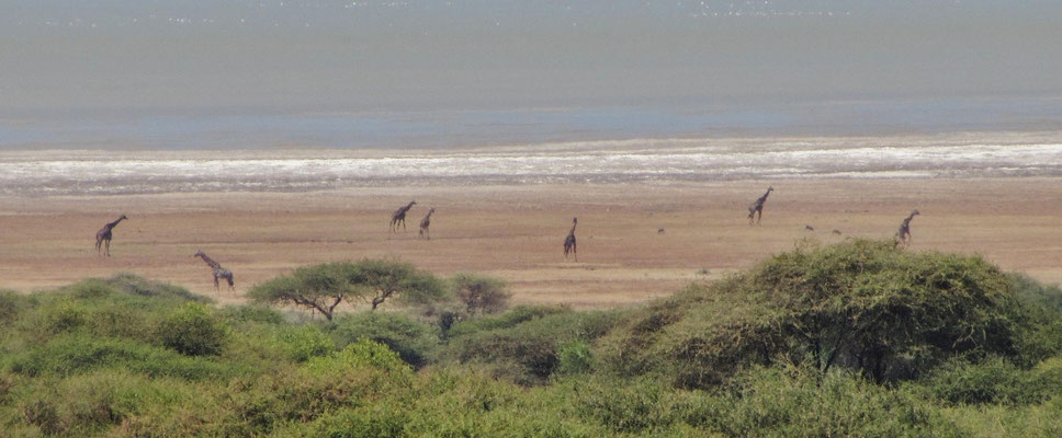 Lake Manyara.
