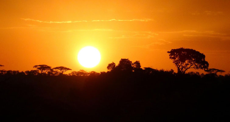 Ein Sonnenaufgang in der Serengeti.