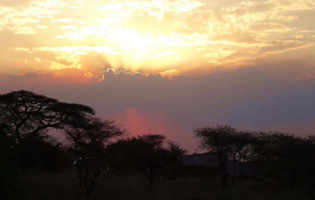 Sonnenuntergang vor einem aufziehenden Gewitter in der Serengeti.