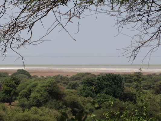 Die Salzablagerungen am Lake Manyara sehen wie eingefrorener Wellenschlag am Ufer eines Sees oder Meeres aus.