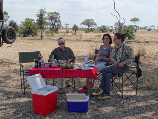 Busch-Lunch mit Entertainment Programm durch gleichzeitige Tierbeobachtung.