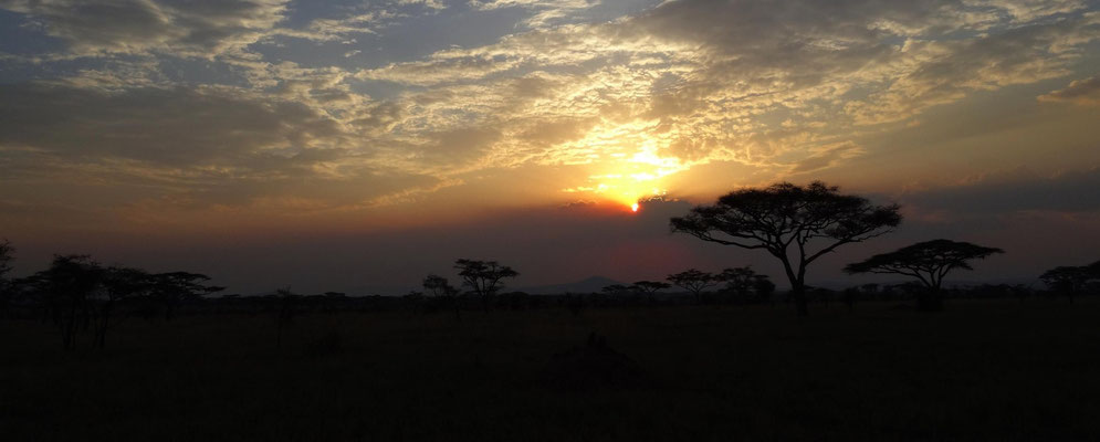 Sonnenuntergang in der Serengeti, August 2015