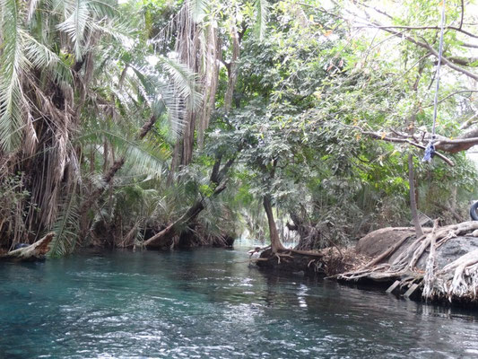 Die Hotwater-Springs Kikuletwa in der Naehe von Boma N'Gombe sind gar nicht sooo heiss.
