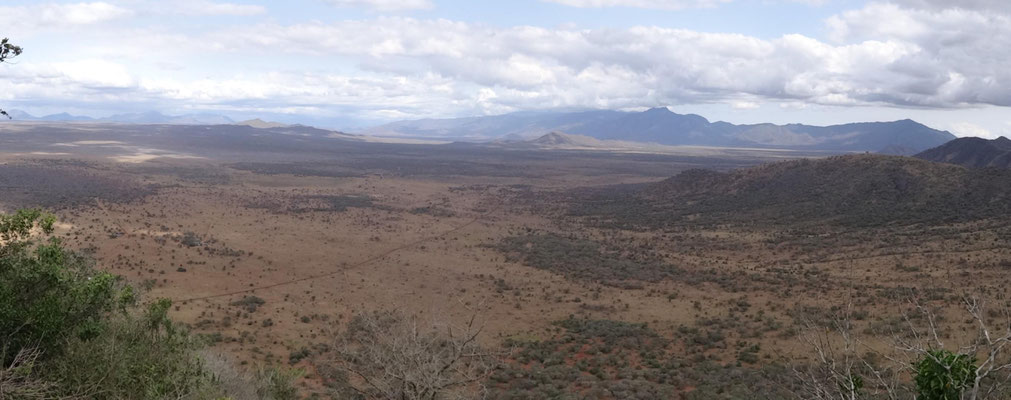 Der Mkomazi-Nationalpark bietet viel typische Savannenlandschaft, umrahmt von Bergen.