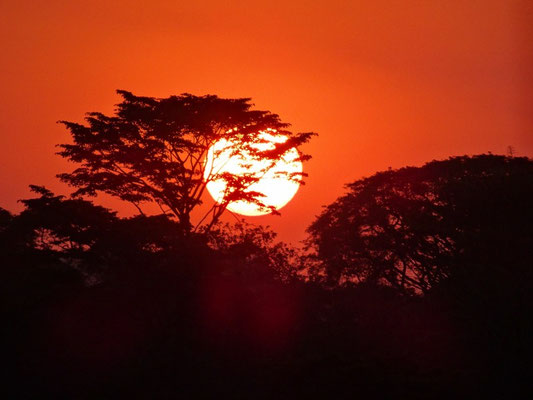 Toller Sonnenuntergang in Kishumundu am 7.8.2021.