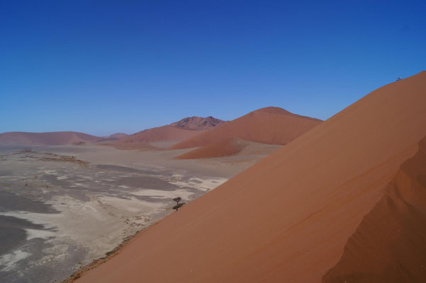 Kleine Sanddünenwanderung mit Ausblick.