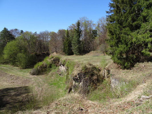 Alter Steinbruch im Rodenbacher Wald.