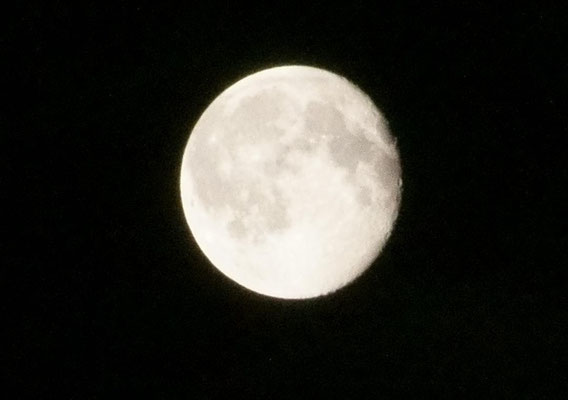 Vollmond bei Nacht.