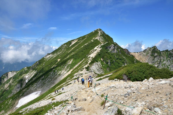 唐松山荘分岐点から唐松岳を見る。最高の青空になった。