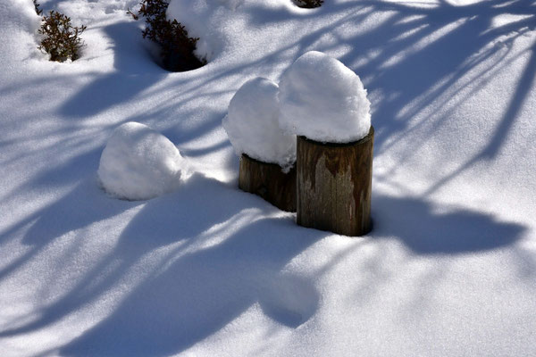 庭の雪は20cmぐらい。