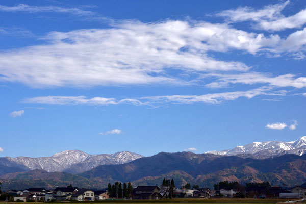 標高1,000mより山肌まで雪で白くなった。