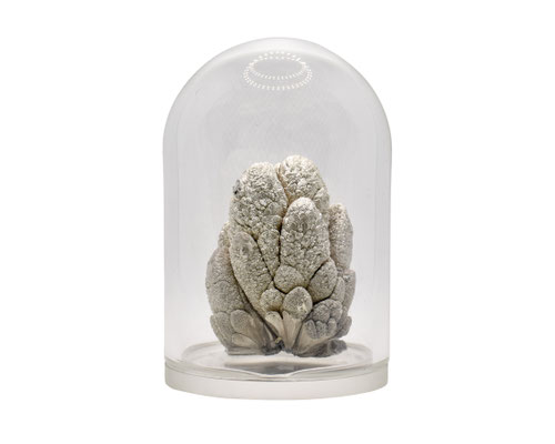 lithium metal crystals cluster shiny argon sealed dome, lithium metal dome, lithium metal domes, lithium crystals, lithium metal sample for collection