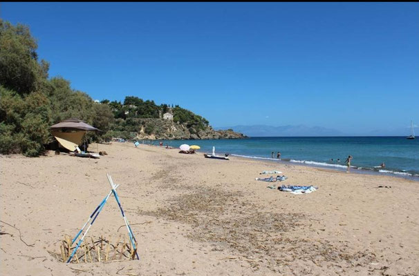 Strand mit markiertem und geschütztem Nest im Vordergrund