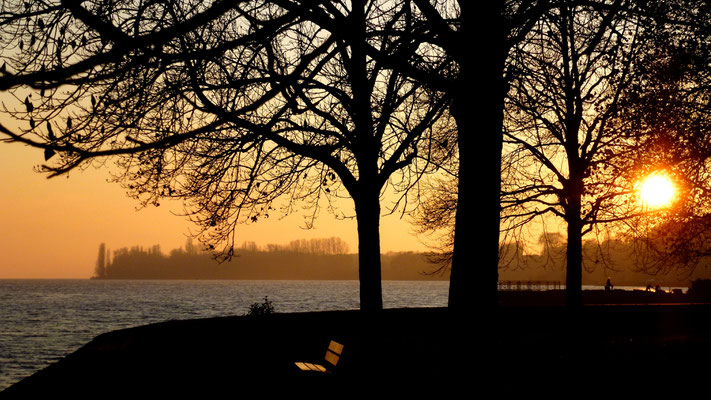Sunset, Lac Leman, Morges, Suisse, Ch,  P1030307.JPG