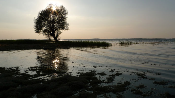 Lac de la forêt d'Orient, Mesnil Saint Pere, F,  P1030411.JPG