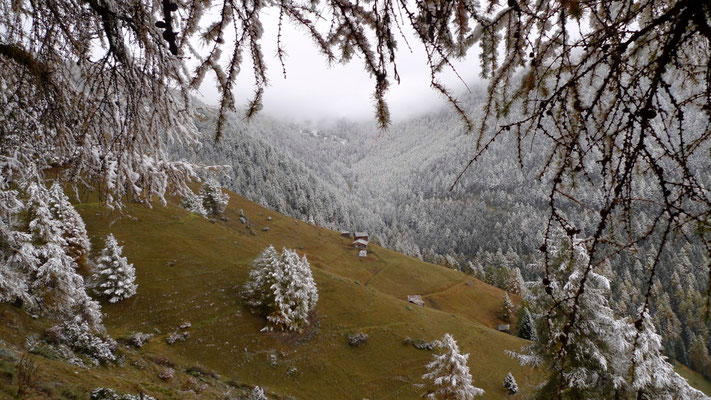 Paysage, Saint Luc, Anniviers, Valais, Ch, P1140587.JPG