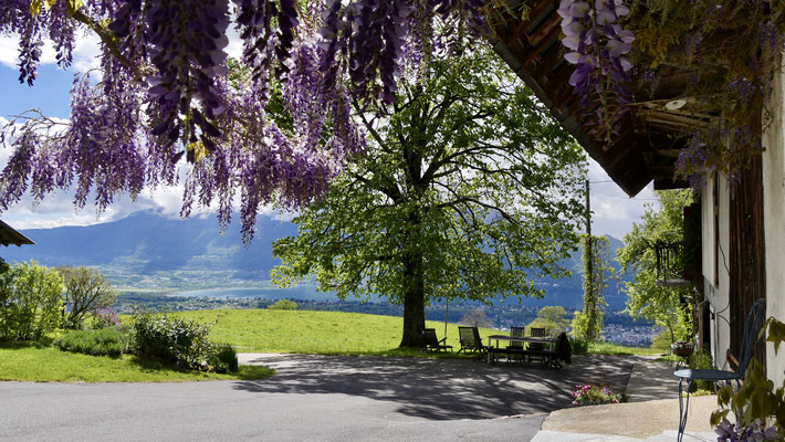 Chez Mireille, Pugny Chatenod, Savoie, F,