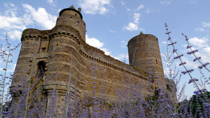 Chateau de Fougères, F,  P1110499.JPG.jpg