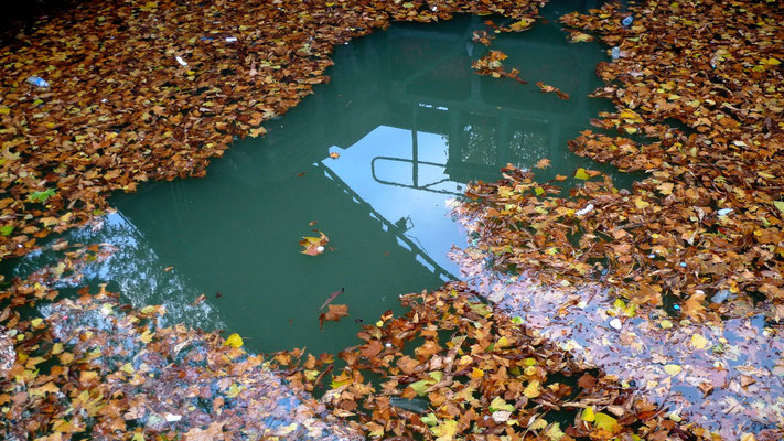 Feuilles, canal Saint Martin, Paris, F,  P1150174.JPG