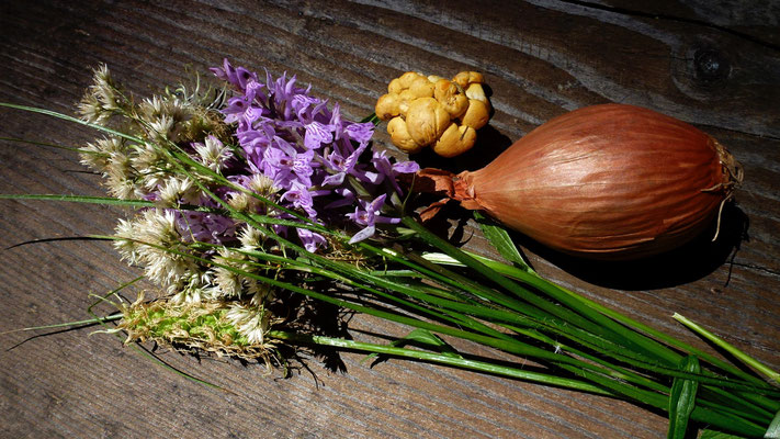 Bouquet, Chanterelles, Echalotes, Forêt communale, Vercorin, Anniviers, Valais, Suisse, Ch,  P1030036.JPG