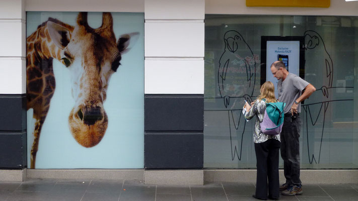 Gaph, Chinatown, Melbourne, Australie, Aust, P1010880.JPG