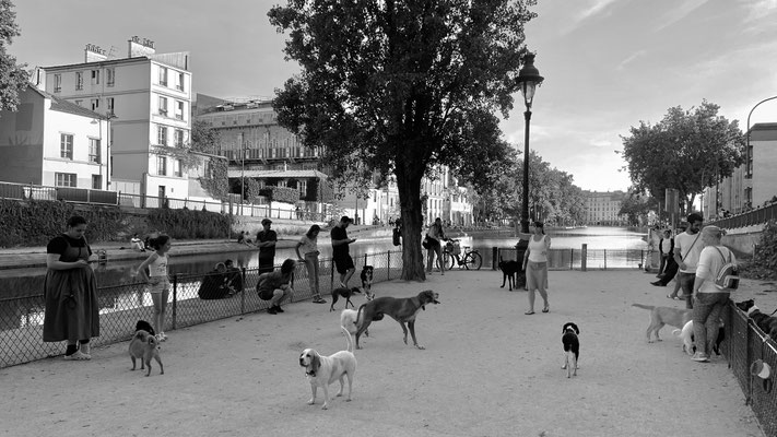 Pastiche, Parc à chiens, Canal Saint Martin, 75010 Paris, F,