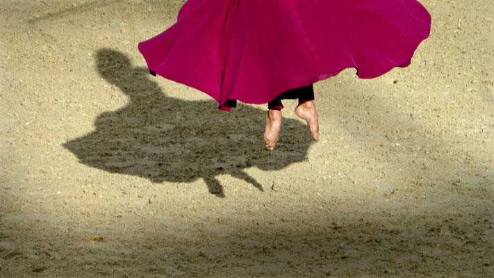 Danseuse, Cadre noir de Saumur, Saut Hermès, Grand Palais, Paris, F,   P1010120
