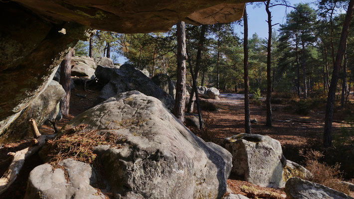 Rochers, Massif de Buthiers-Malesherbes, 77760 Buthiers, Seine et Marne, F,