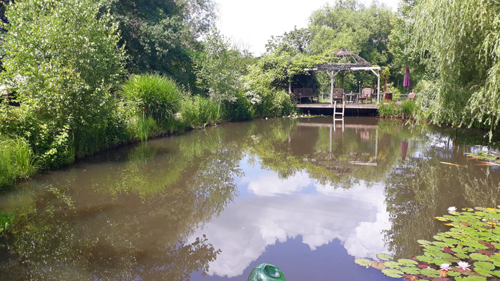 08.06. Wolkenspiel im Teich