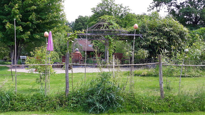 03.06. Blick vom Hühnergehege auf den Zaun